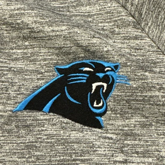 NFL Carolina Panthers Football‎ Gray Full-Zip Hoodie Sweat Shirt Size Large #368 - Picture 3 of 11
